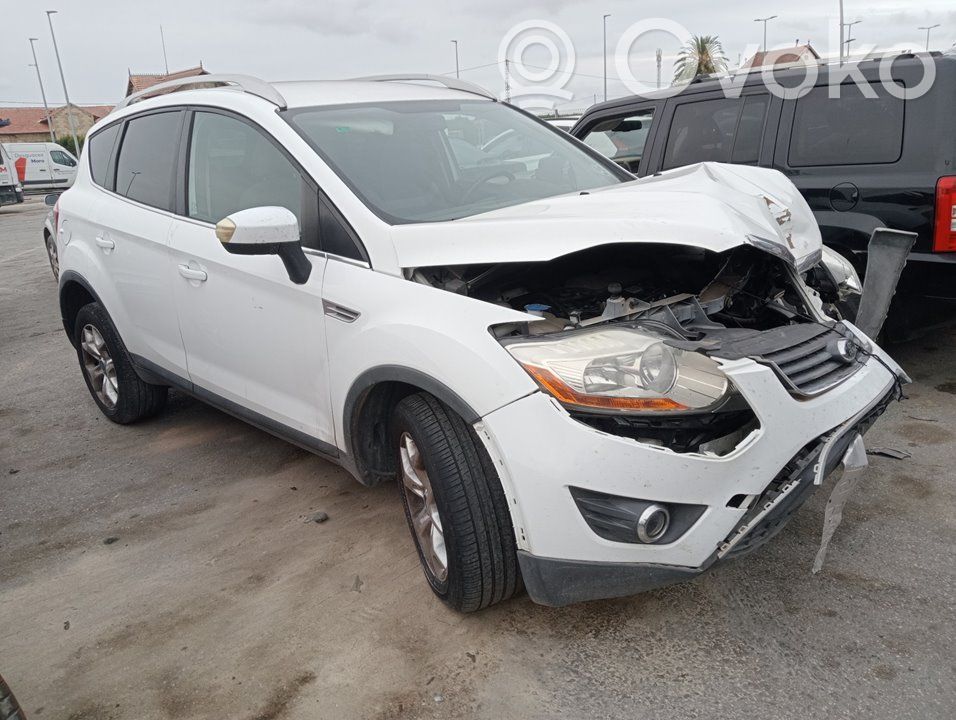 Kuga I Kuga  1738645