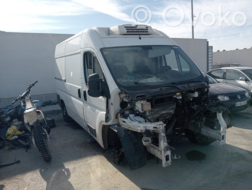 Boxer Boxer  8703G2