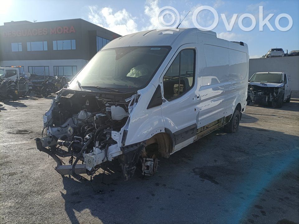 Transit VII Transit  2203290