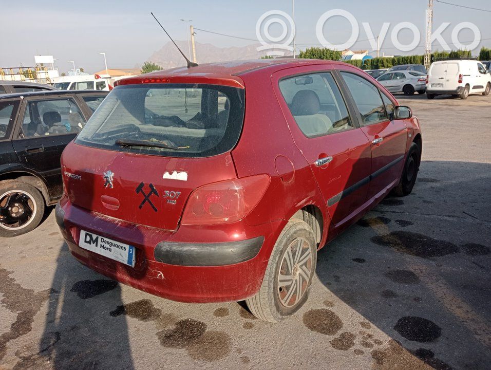 307 307  6580J1
