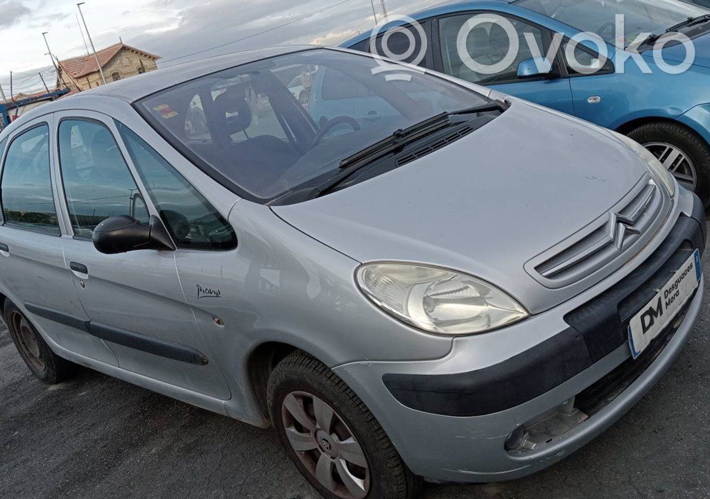 Xsara Xsara, Xsara Picasso  113933