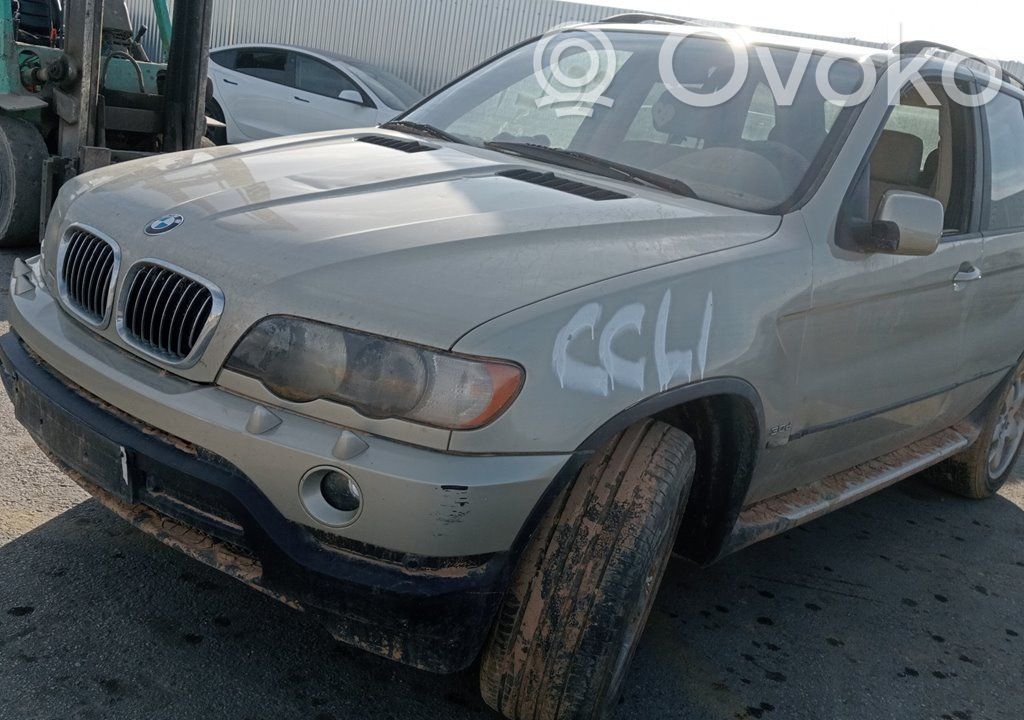 X5 E53 X5  41357000386