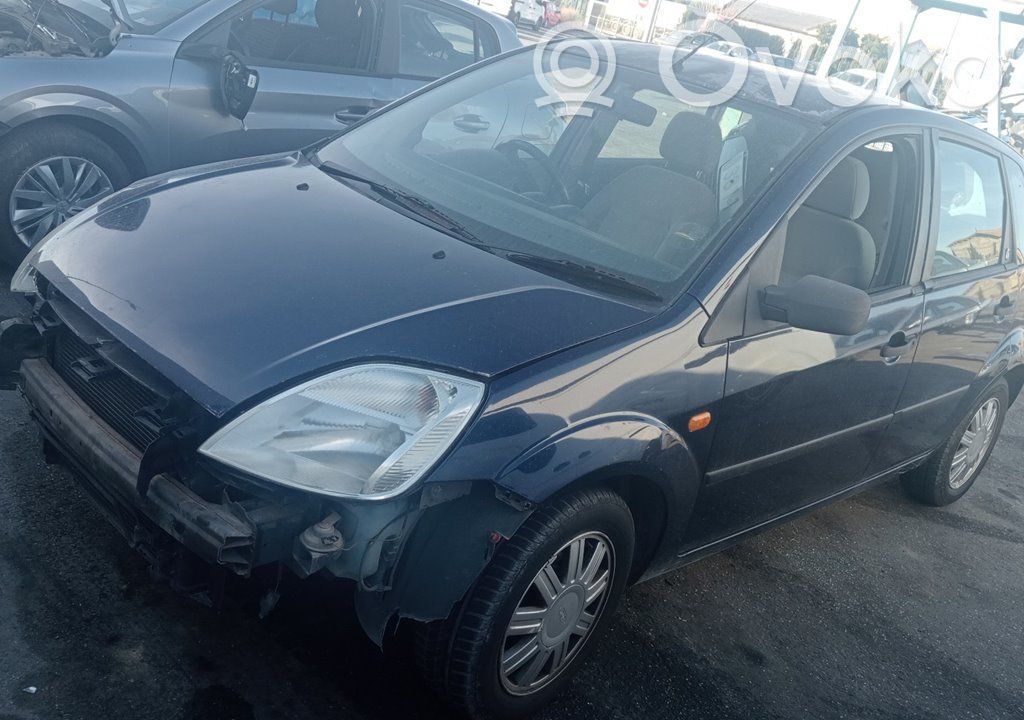Fiesta Fiesta  LRA01169