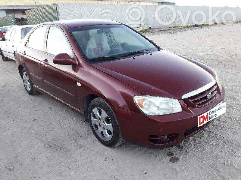 Cerato Cerato