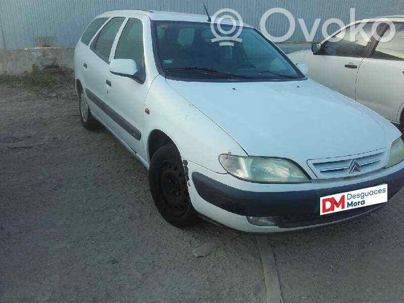 Xsara Xsara, Xsara Picasso