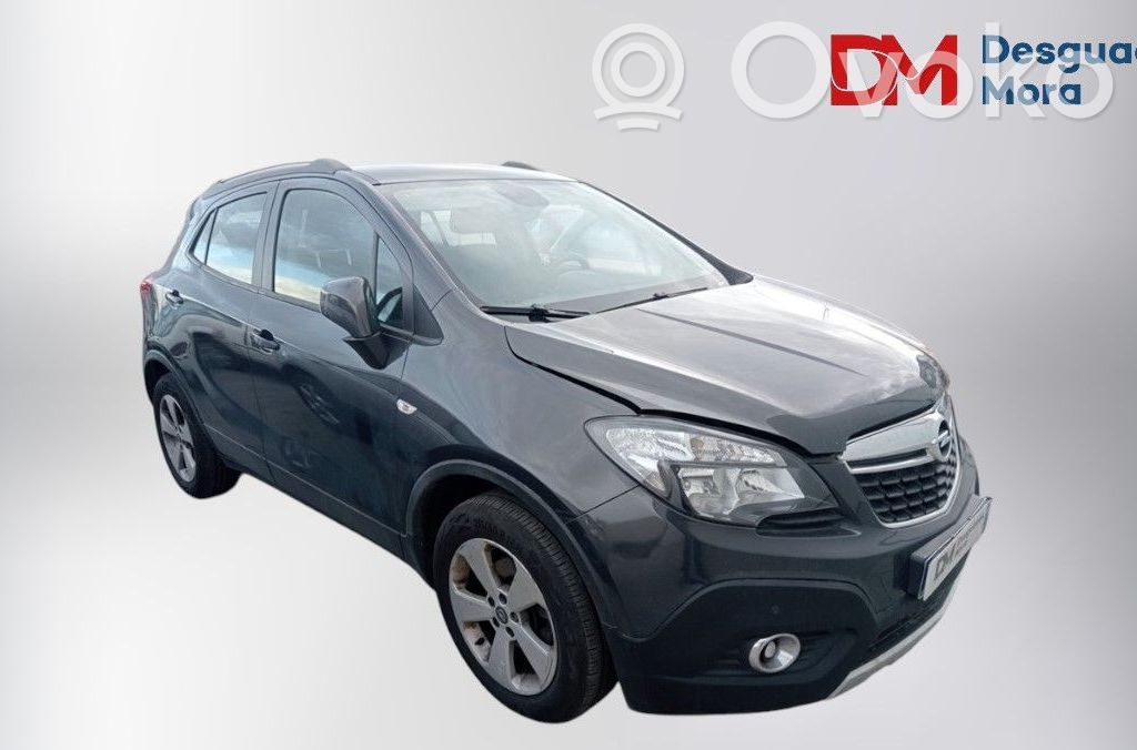 Mokka Mokka  25981231