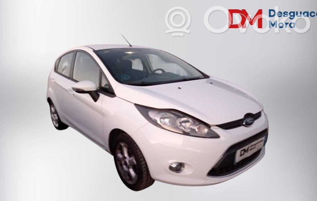 Fiesta Fiesta  1777180