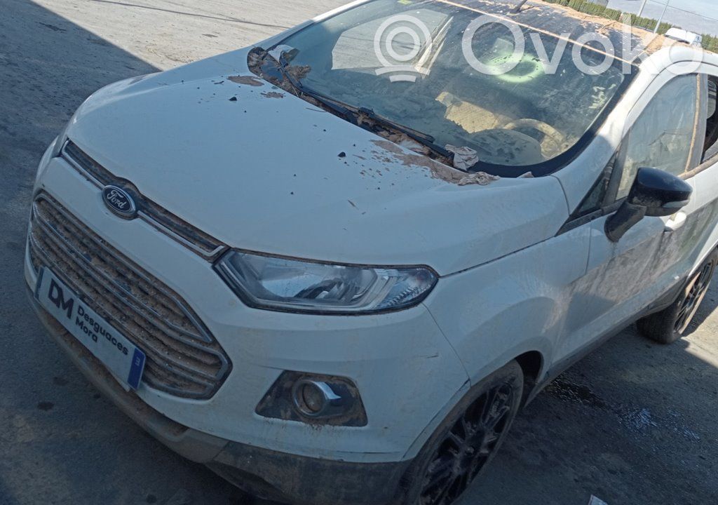 Ecosport Ecosport  2177432