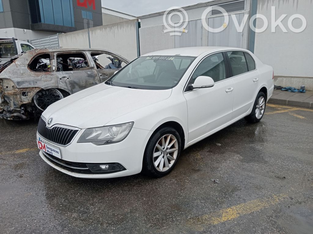 Superb B6 (3T) Superb  3T5833055