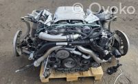 Macan (95B) Macan  DGR