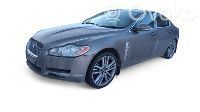 XF XF  306DT