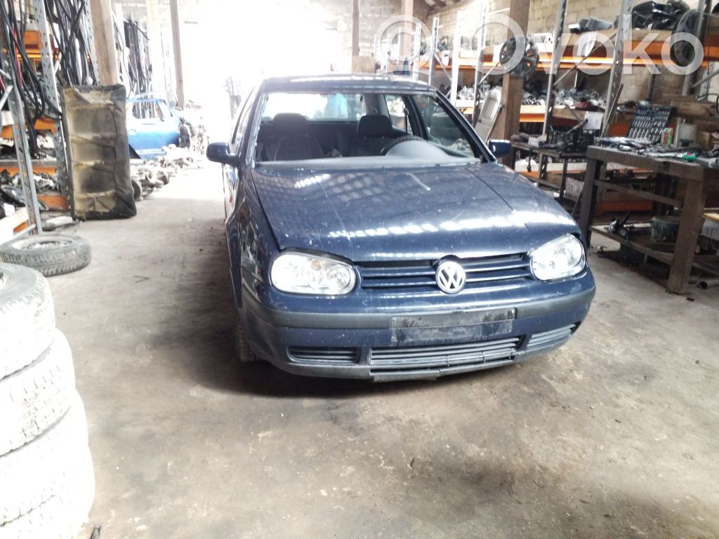 Golf IV Golf  028130202