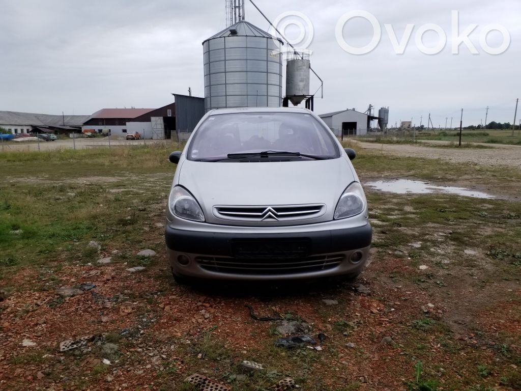 Xsara Xsara, Xsara Picasso