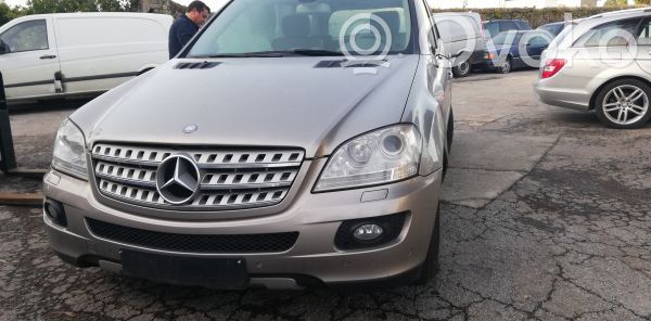 ML W164 ML-class, AMG (W163, W164, W166)