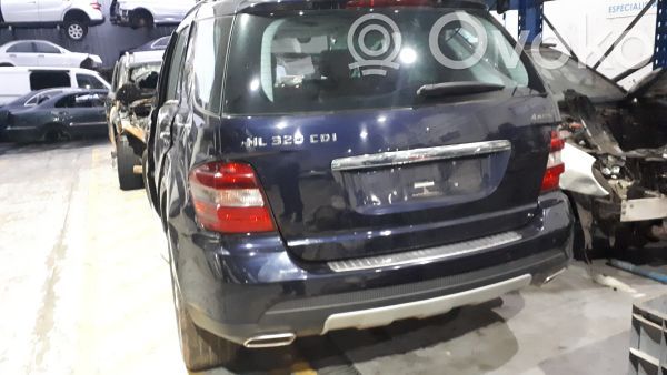 ML W164 ML-class, AMG (W163, W164, W166)