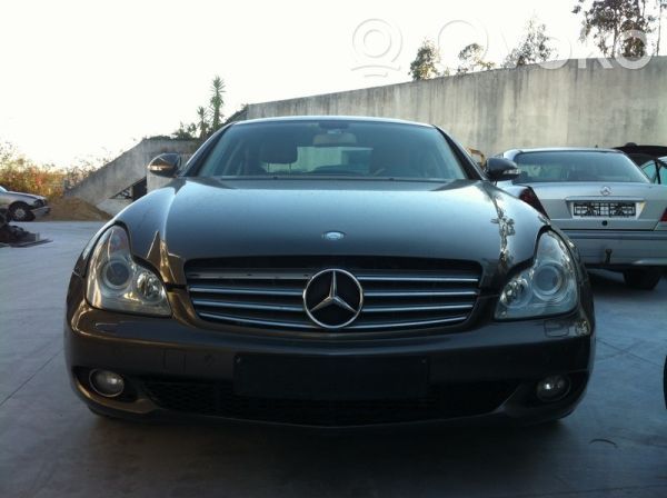 CLS C219 CLS-class, AMG (W219,C218/X218)