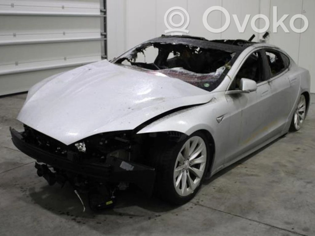 Model S Tesla Model S  107216100A