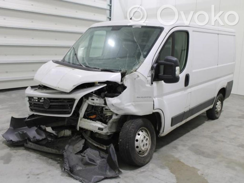 Ducato Ducato  1390082080