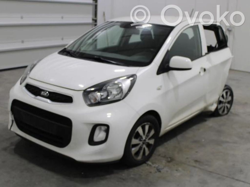 Picanto Picanto  218101Y201