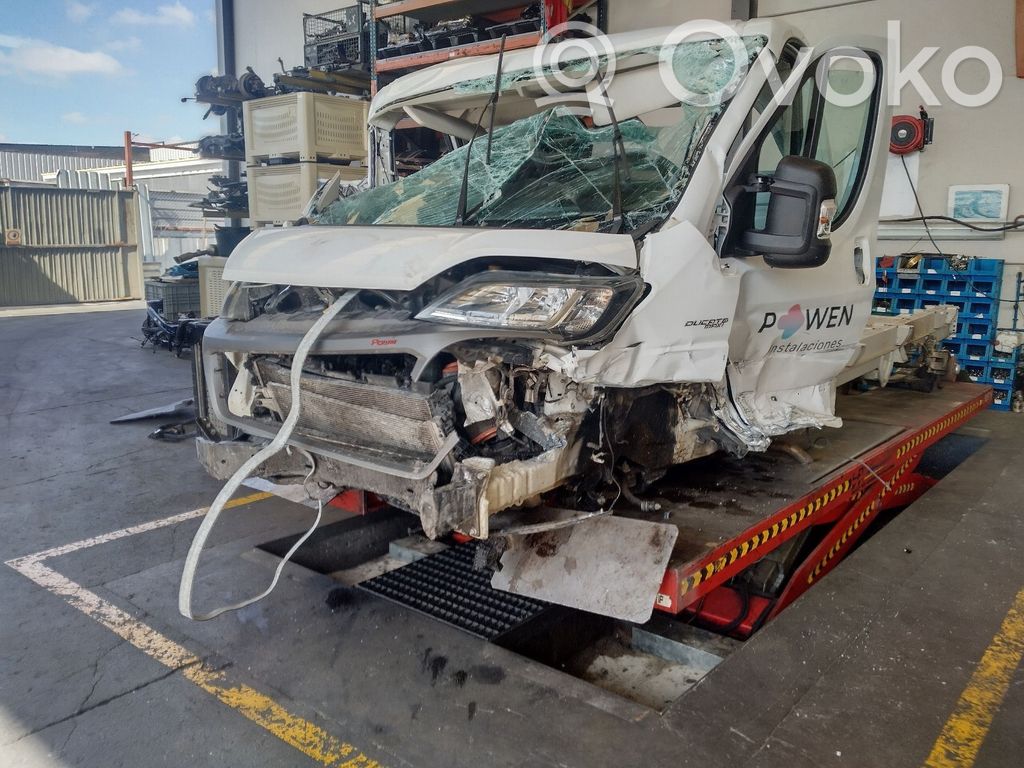 Ducato Ducato  LB498002