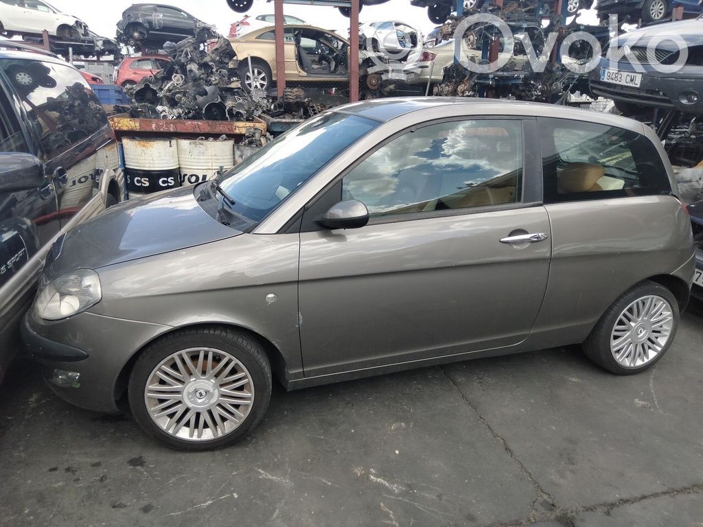 Ypsilon Ypsilon  37502399E