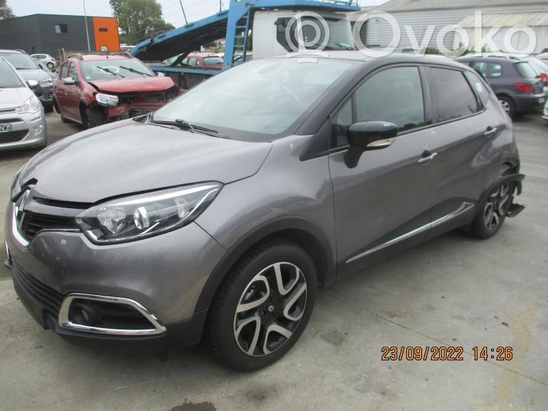 Captur Captur  484001738R