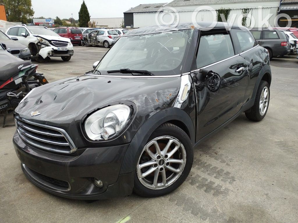 Paceman (R61) Paceman (R61)  61359299332