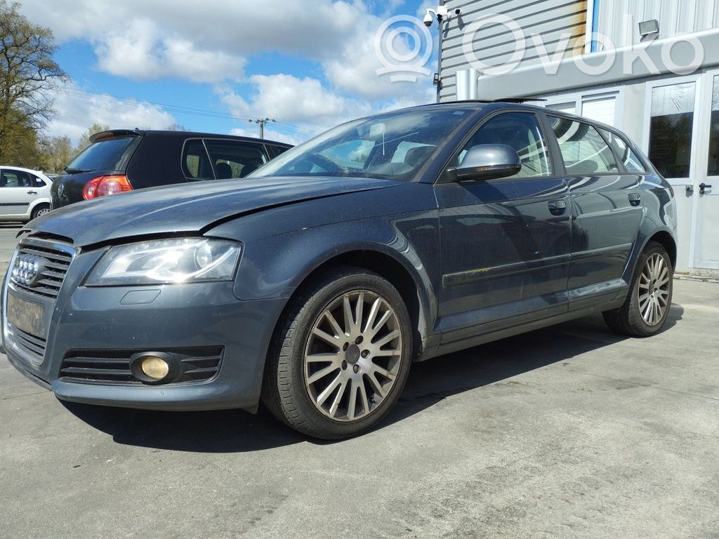 A3 S3 A3 Sportback 8P A3, S3  8P0807113F