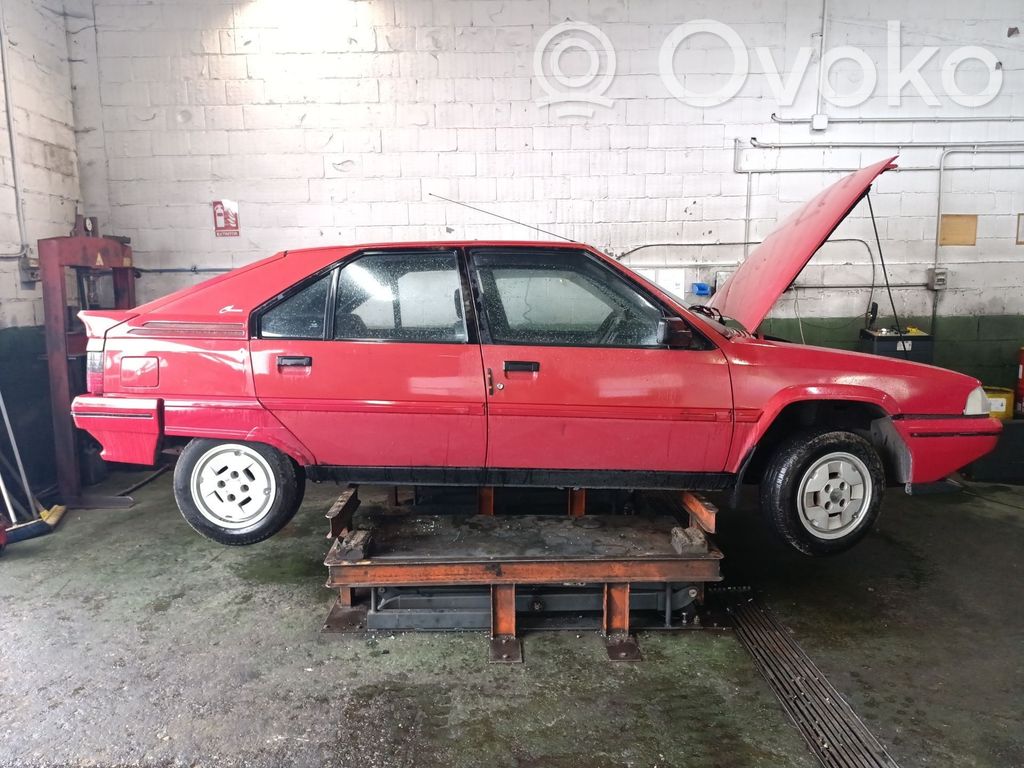 BX BX