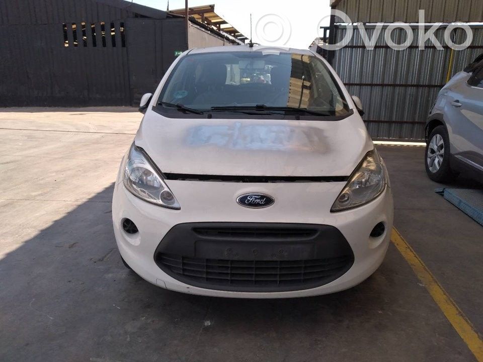 Ka Ka  51981640