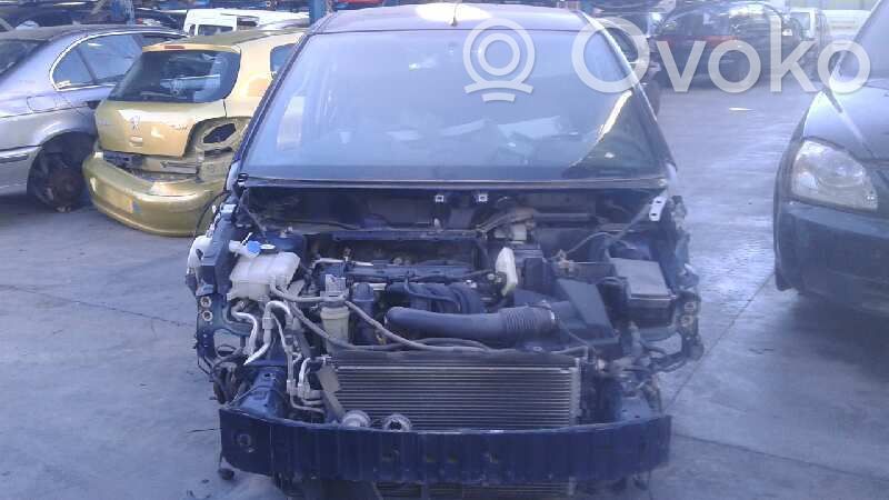 Focus Focus  814