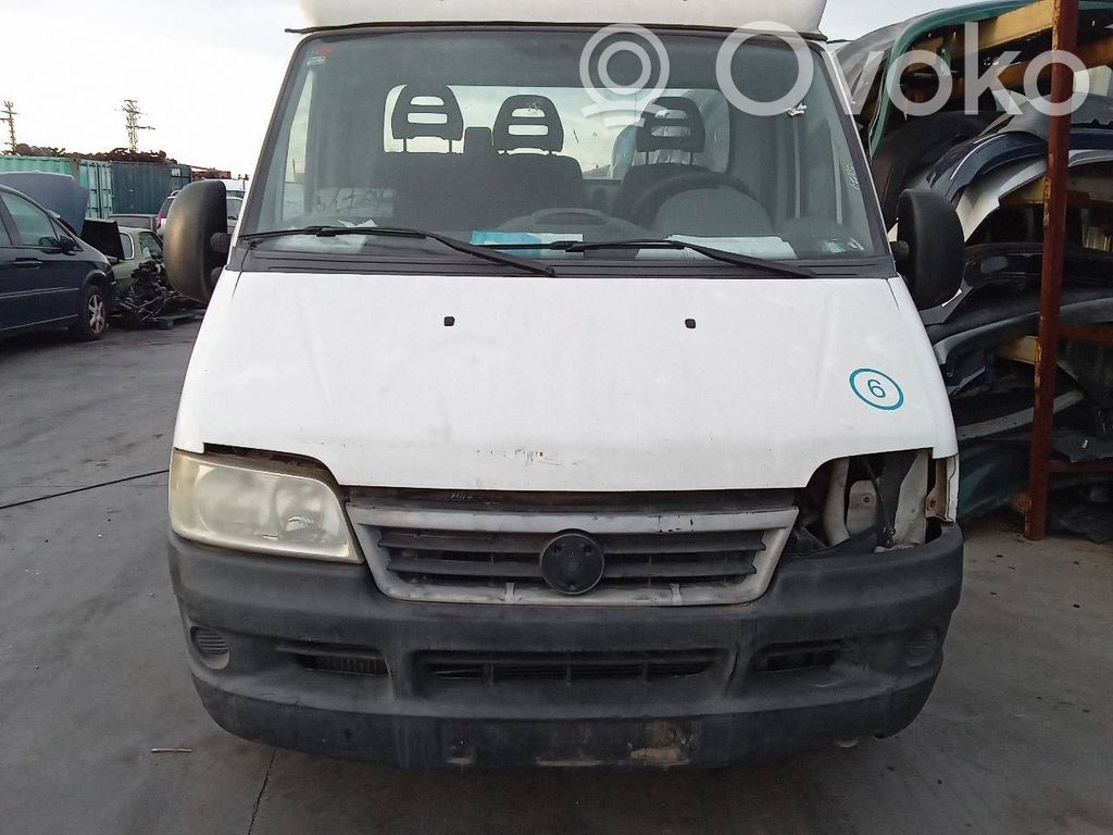 Ducato Ducato