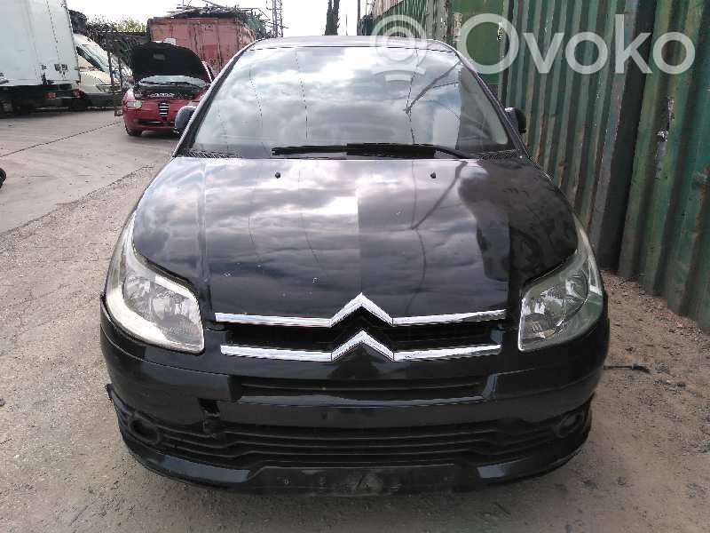 C4 I C4 Picasso, Grand Picasso, Aircross, Cactus  0124525035