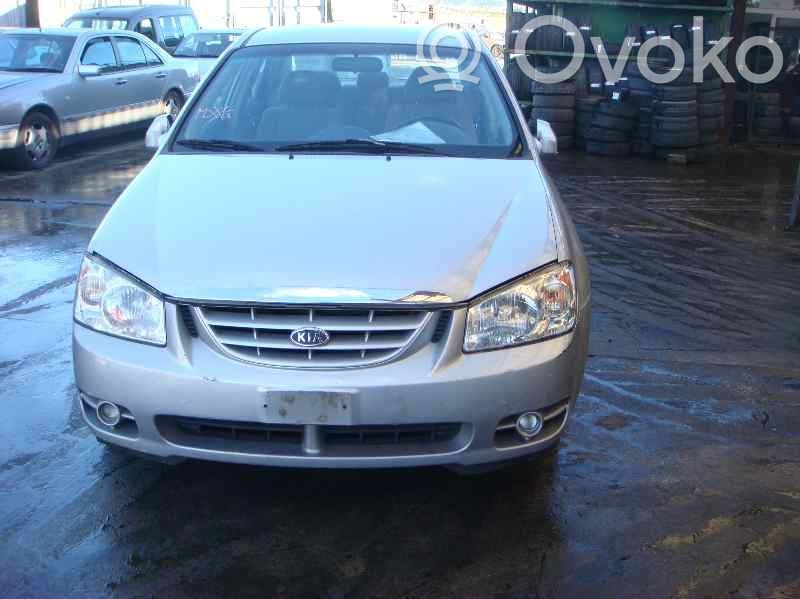 Cerato Cerato