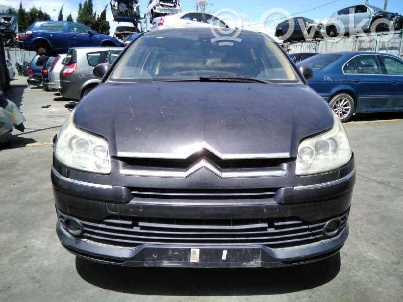 C4 I C4 Picasso, Grand Picasso, Aircross, Cactus  9657613480