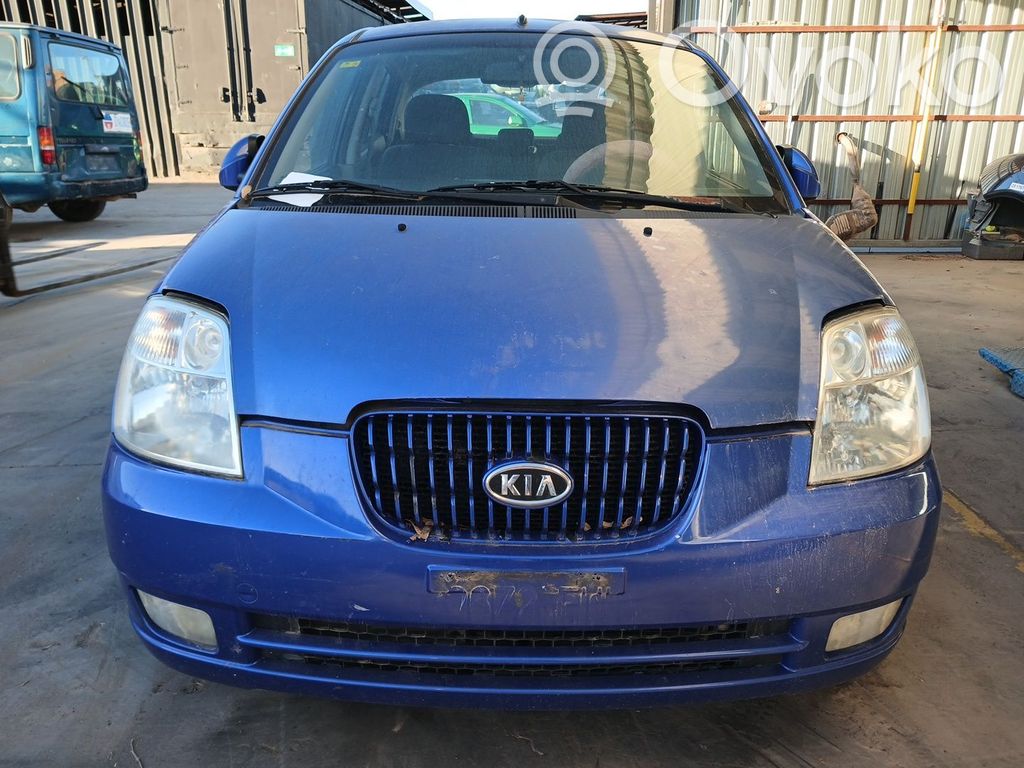 Picanto Picanto  5891007300