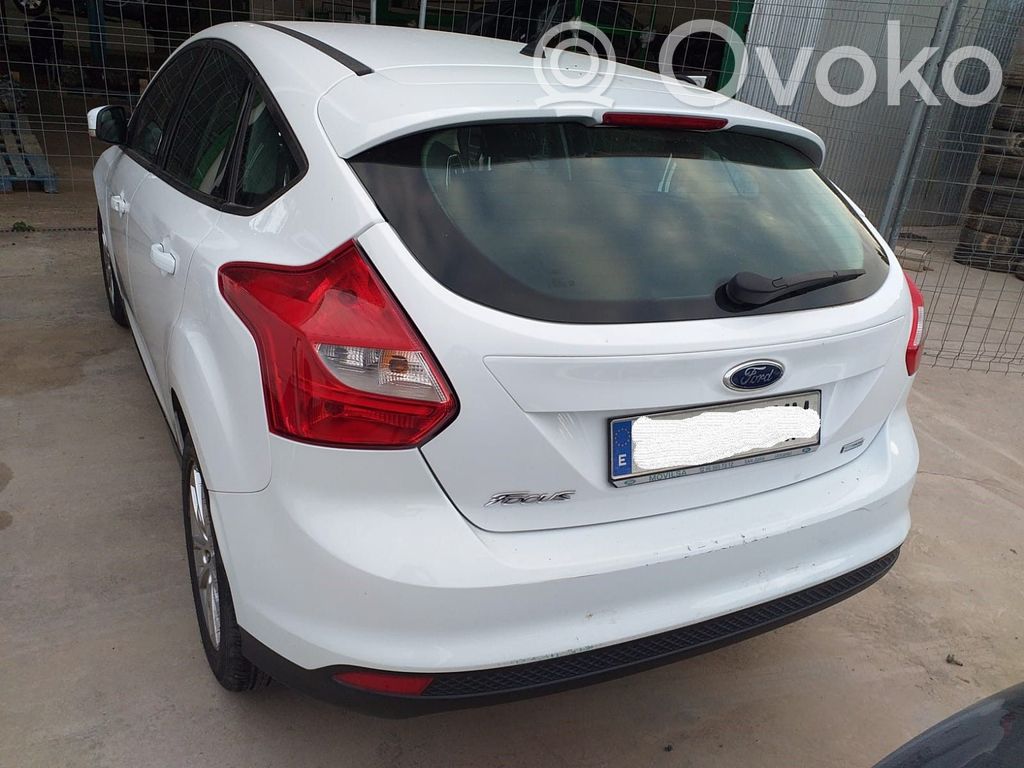 Focus Focus  50989002