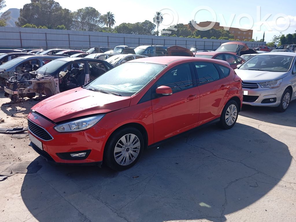 Focus Focus  10103842