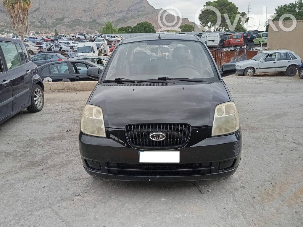 Picanto Picanto  0295607001