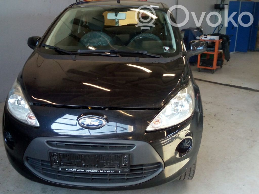 Ka Ka  51912422
