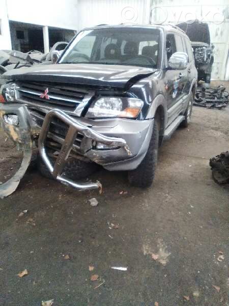 Montero Montero  MR496879