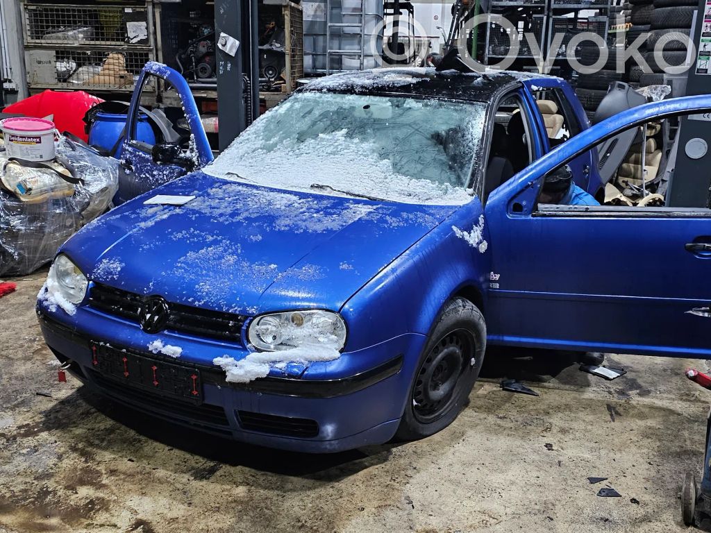 Golf IV Golf  036906034AM