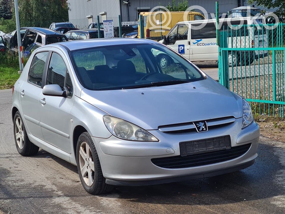 307 307  5WS40029RT