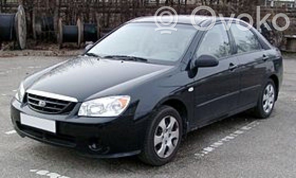 Cerato Cerato  919552F021