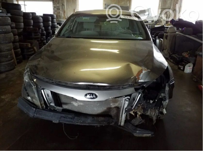 Optima Optima  954802T500