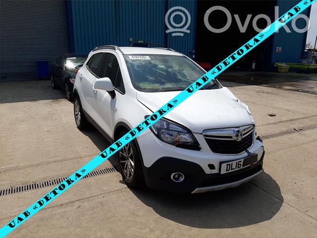 Mokka Mokka  25947935