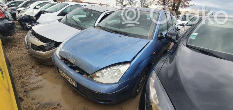 Focus Focus  1329995