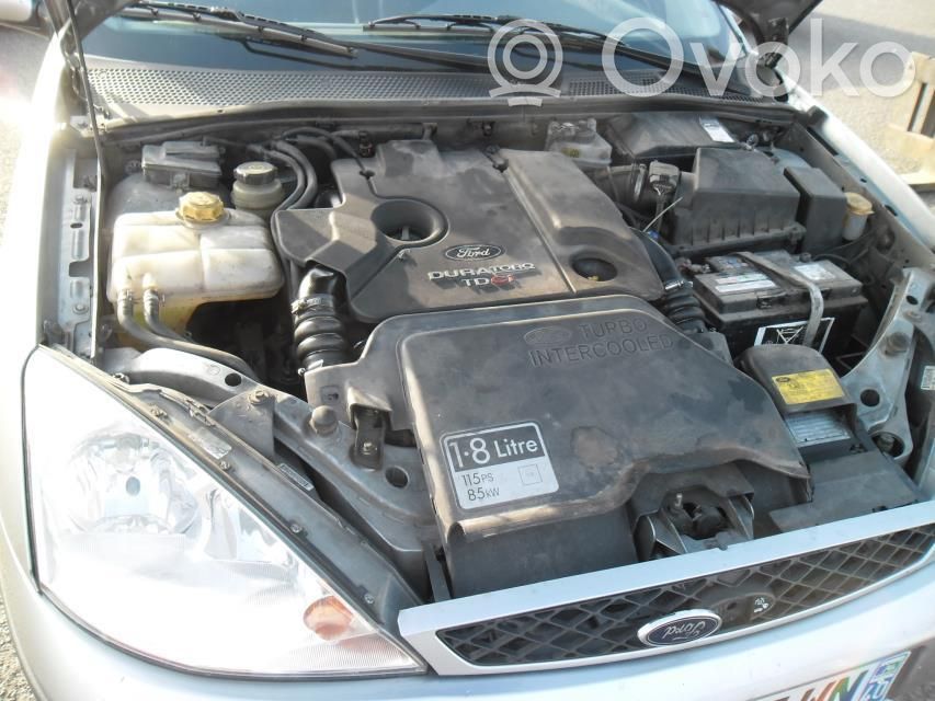 Focus Focus  1343658