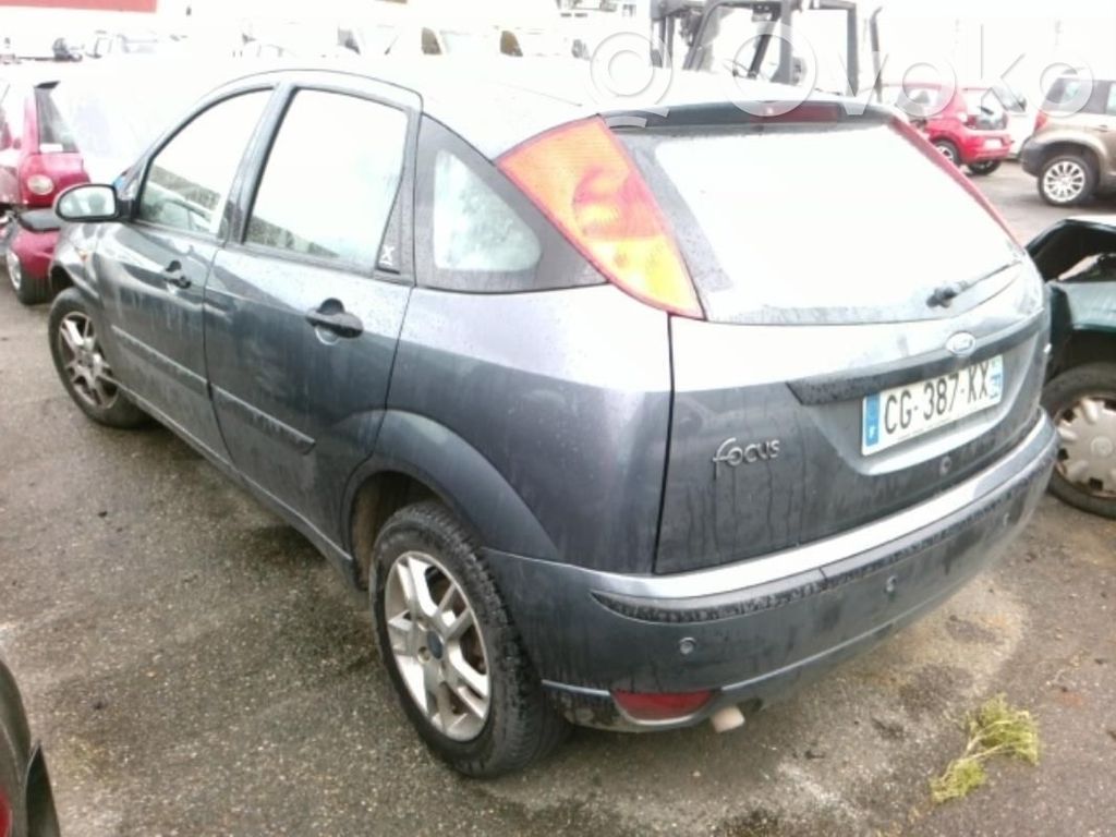 Focus Focus  4187268