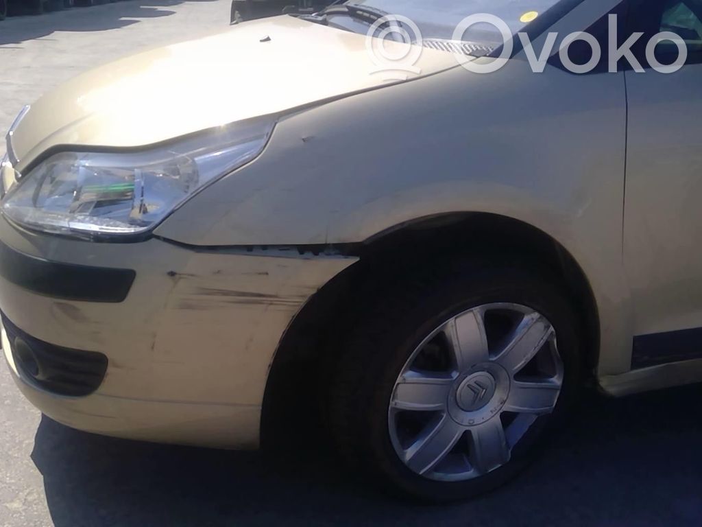 C4 I C4 Picasso, Grand Picasso, Aircross, Cactus  00004541E4